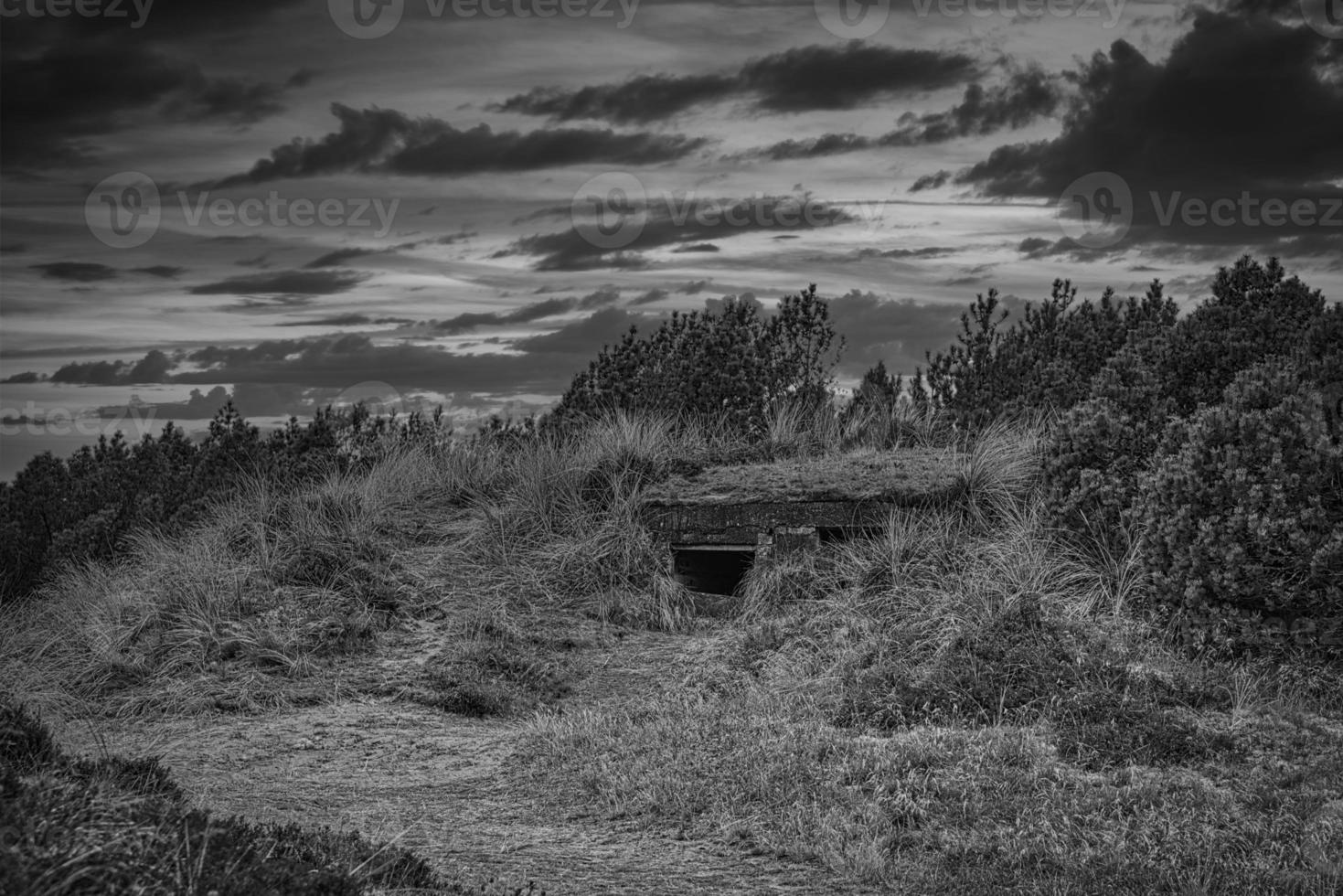 bunker i danmarks sanddyner tagen i svartvitt foto