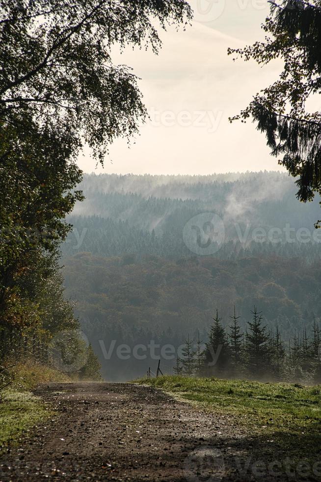 dimma som rör sig över skogen. höststämning i saarlandet. foto