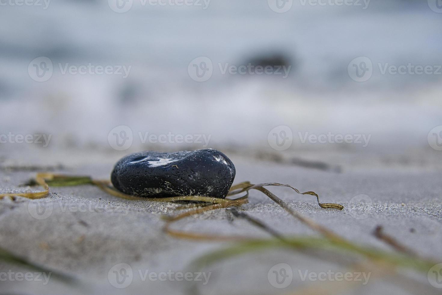 flinta på Östersjöns stativ med tång. foto