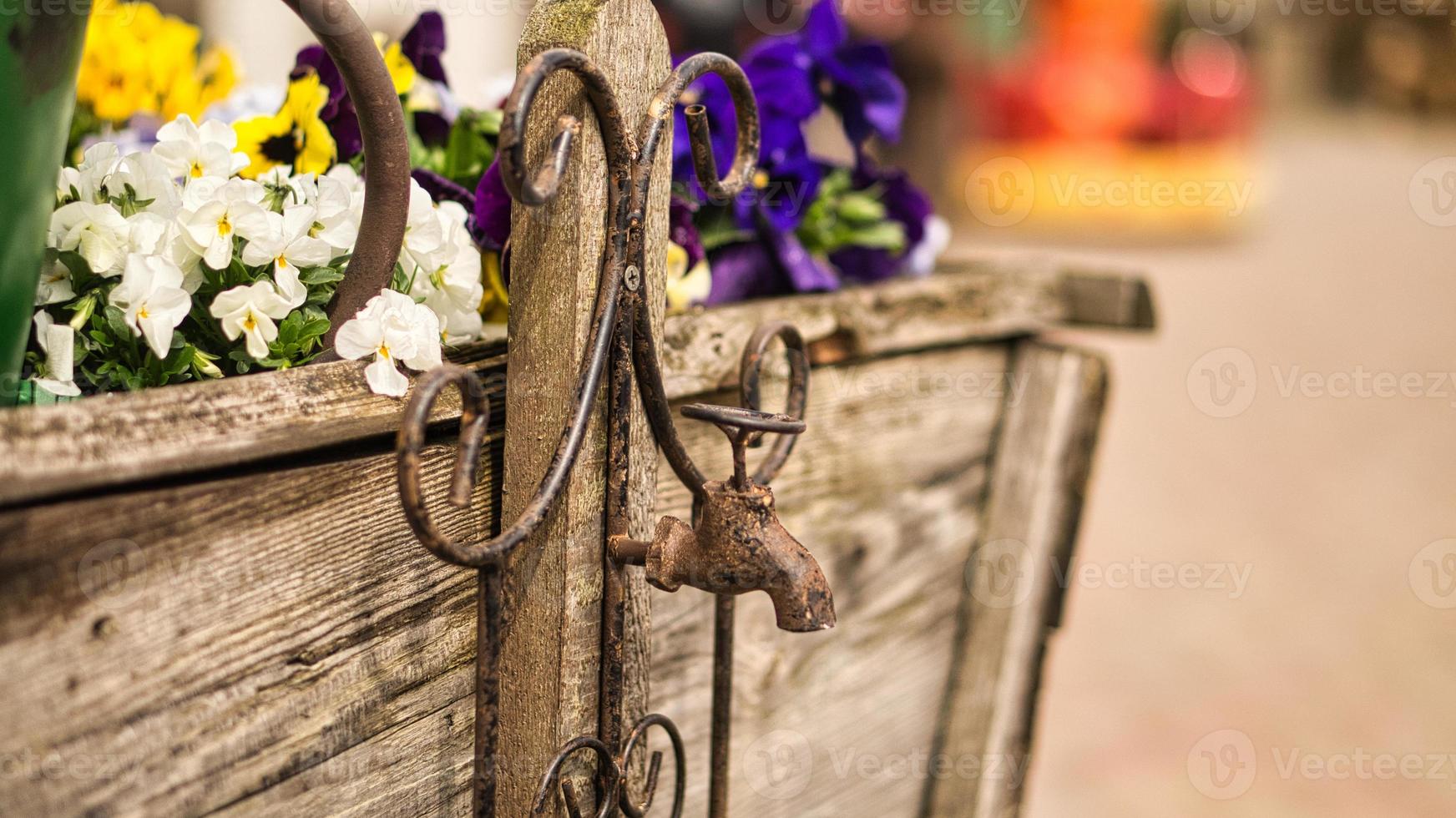 kran som deco i gammalt med rost på en trävagn med planterade blommor. foto