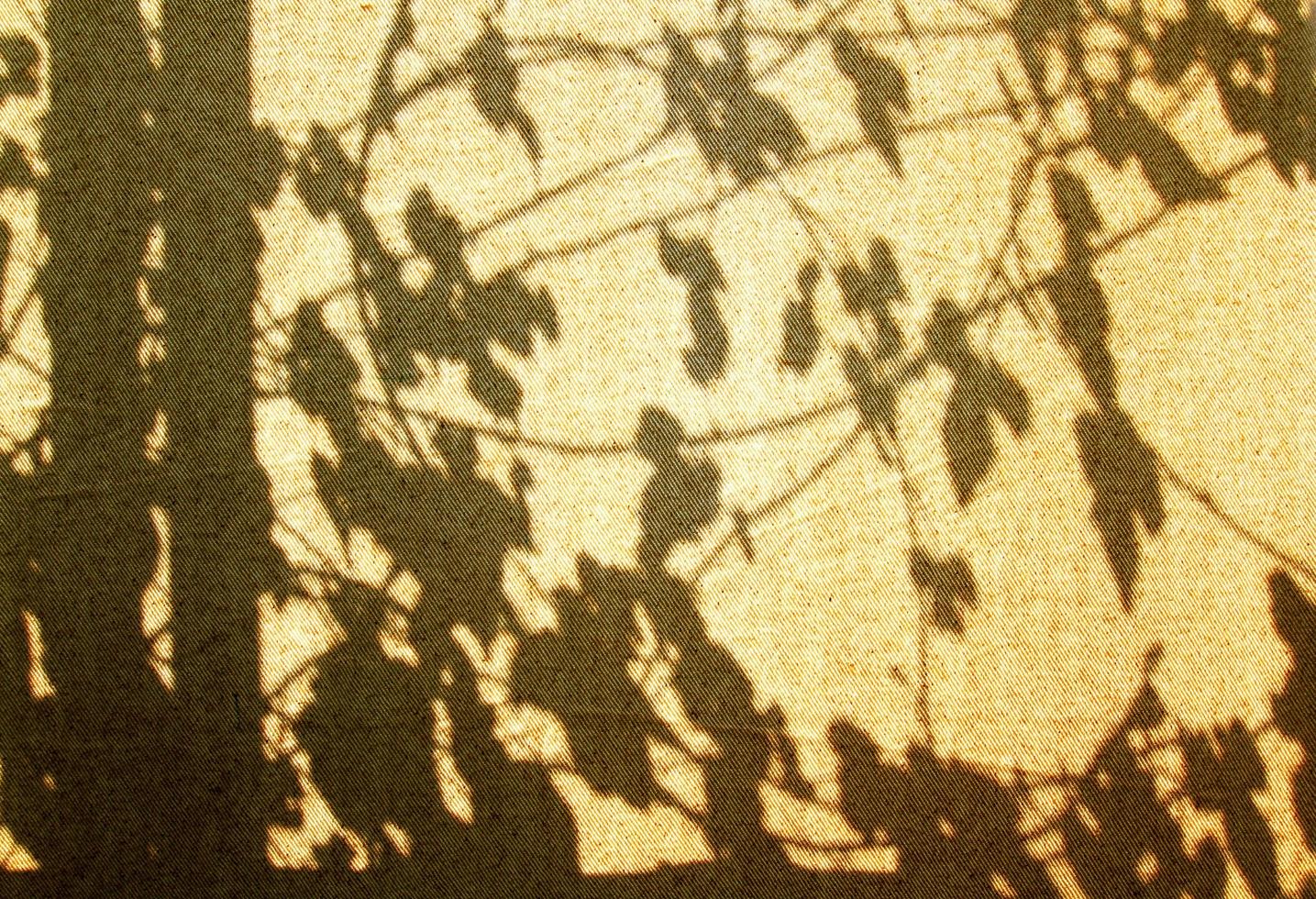 skuggan av grenar träd med löv på brun gardin eller vägg. bakgrund och texturer koncept. foto