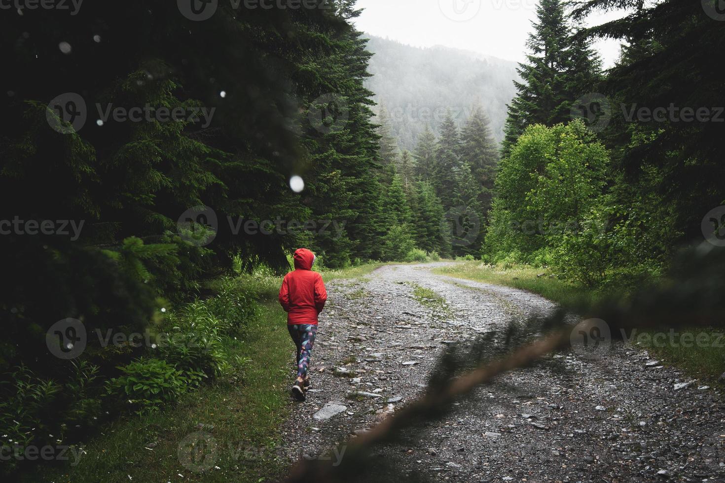 bakifrån kvinna gå på skogsstig efter regn på tom väg gå framåt längs skogen. vandra längs vandringsleden. utomhusäventyr. aktiv helgvila. foto
