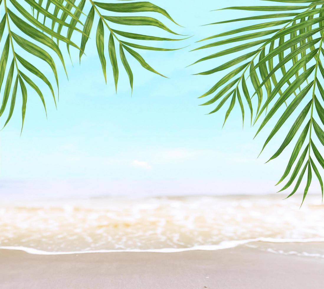 grön kokospalm lämnar träd på vacker sandstrand foto