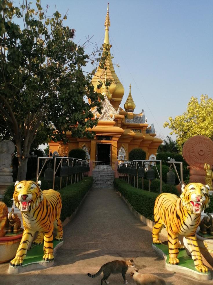 buddha guld färg thai tempel heliga ting tro foto