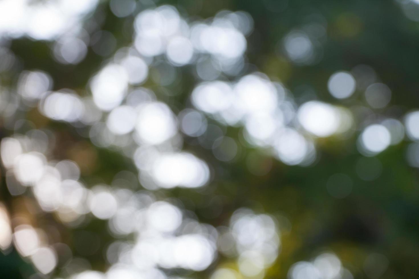 abstrakt cirkulär bokeh bakgrund av ljus foto