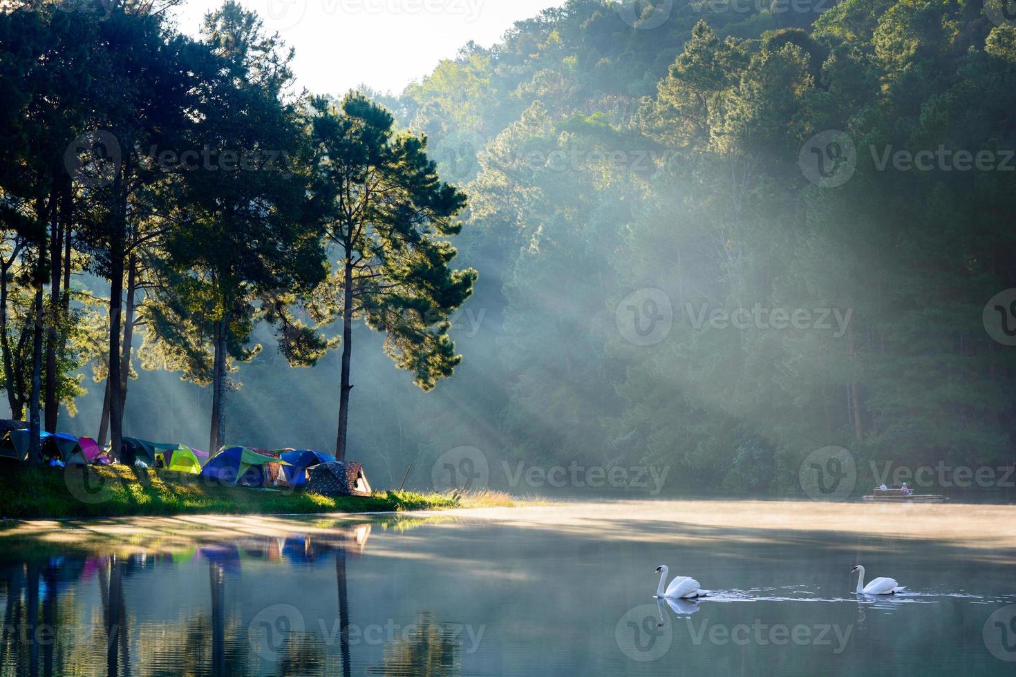 morgonvy med duo svanar reflektion och stråle vid det kungliga initiativet projekt pang tong pang ung mae hong son thailand foto