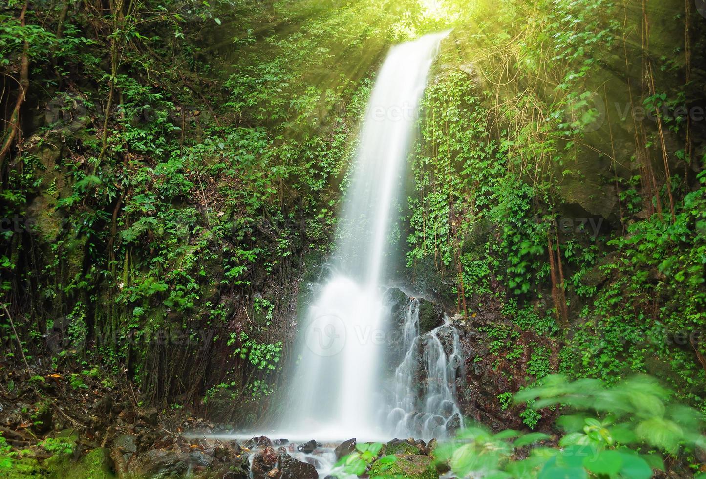 litet vattenfall i djungeln foto