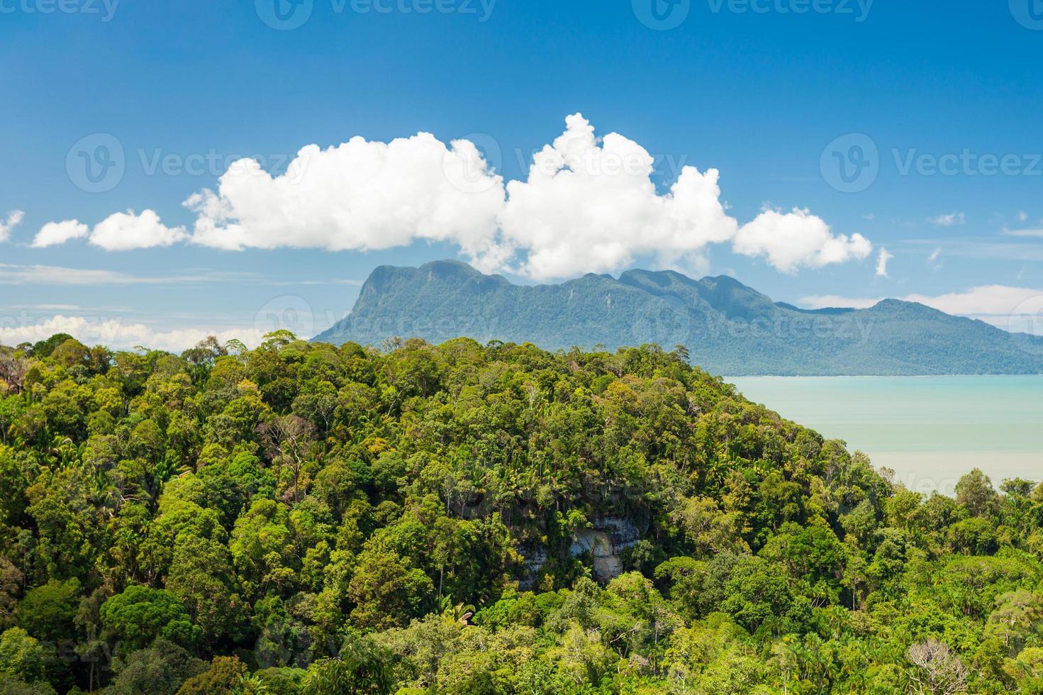 tropiskt landskap över djungeln och kullarna foto