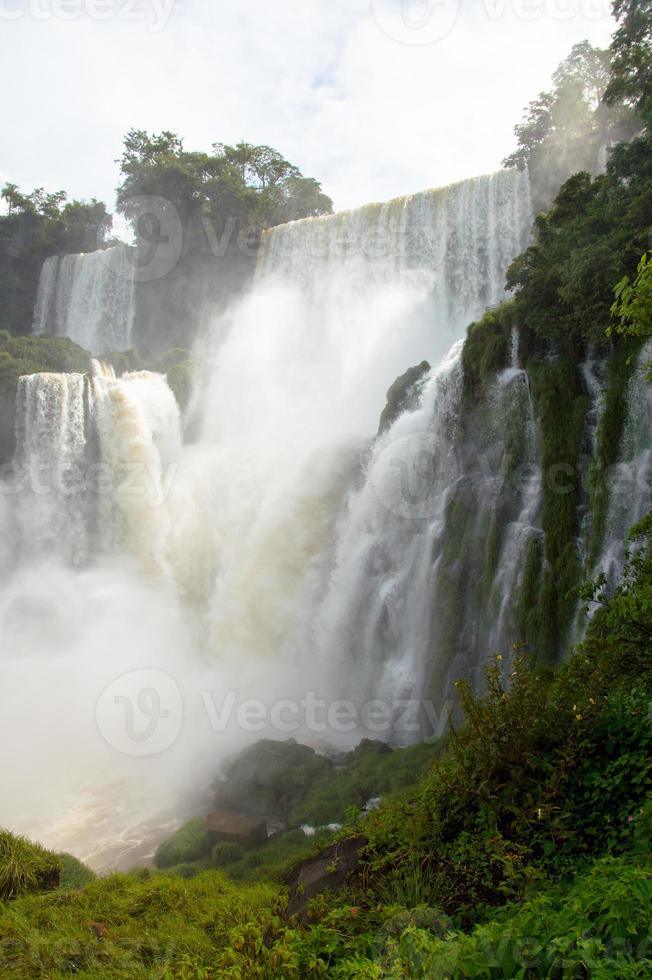 vacker natur vild djungel landskap regnskog iguazu vattenfall argentina foto