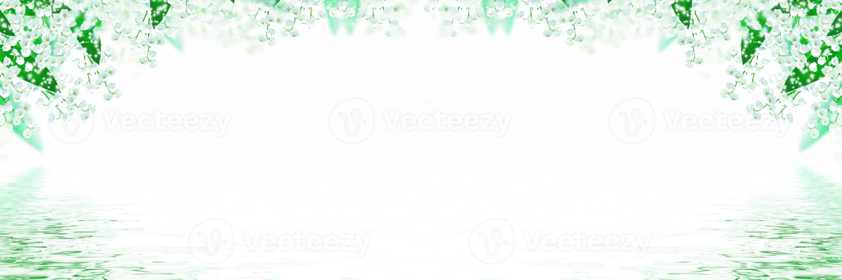 liljekonvalj blomma på vit bakgrund foto