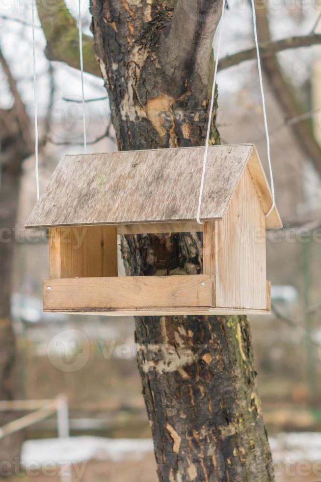 utfodring hus på ett träd i vinter park foto