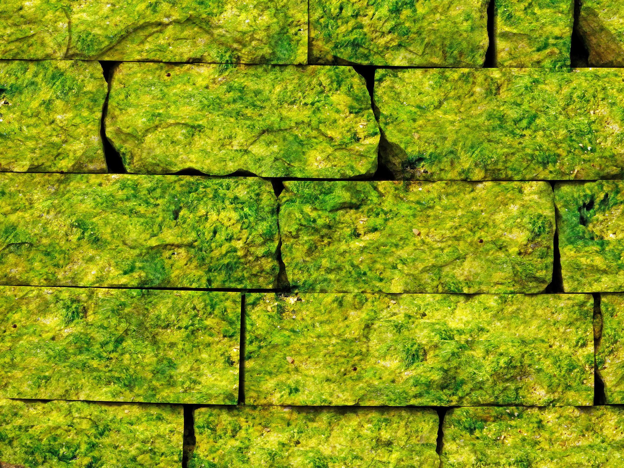 närbild av grön sten eller stenmur för bakgrund eller konsistens foto