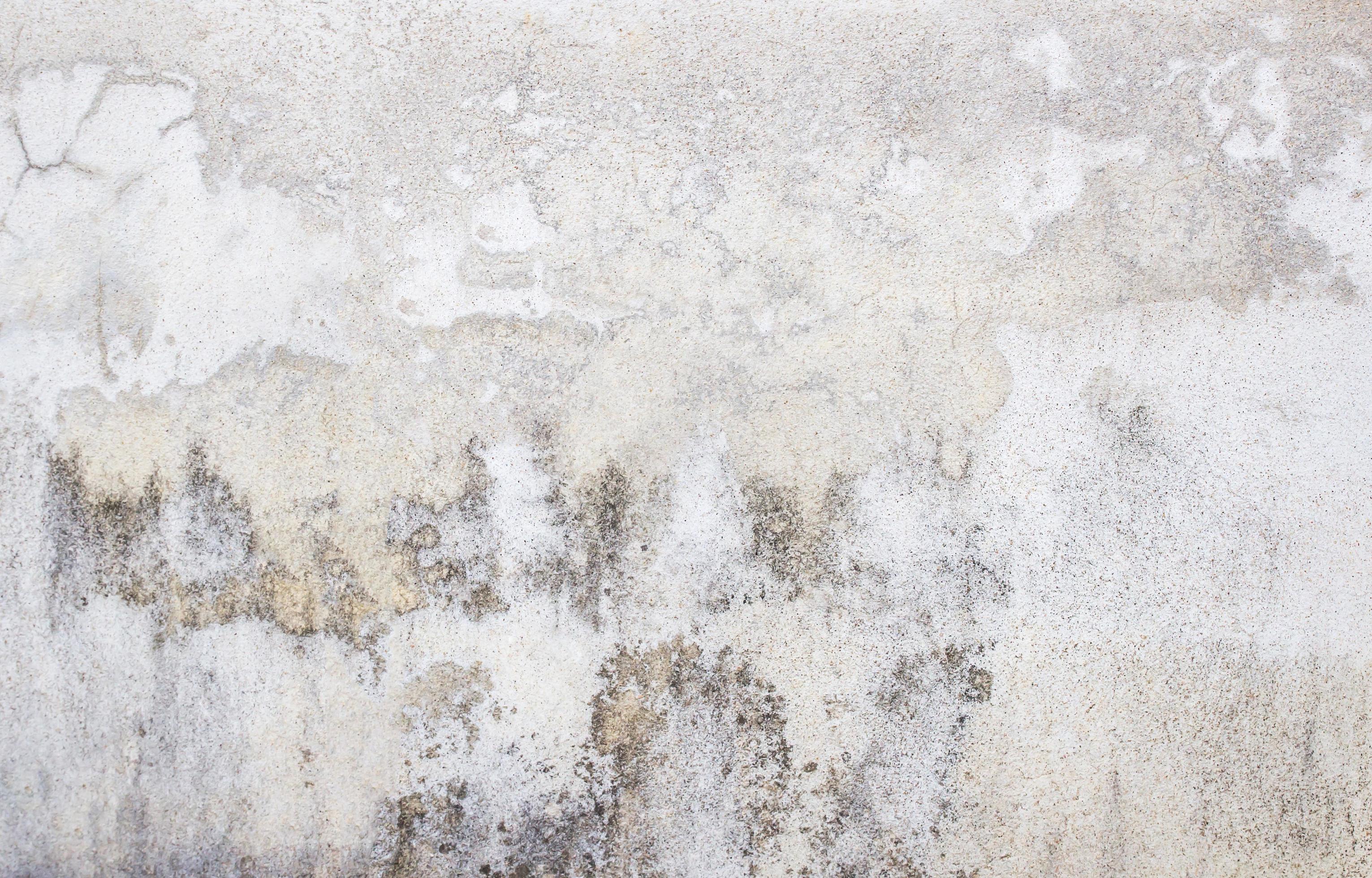 vit betongvägg konsistens foto