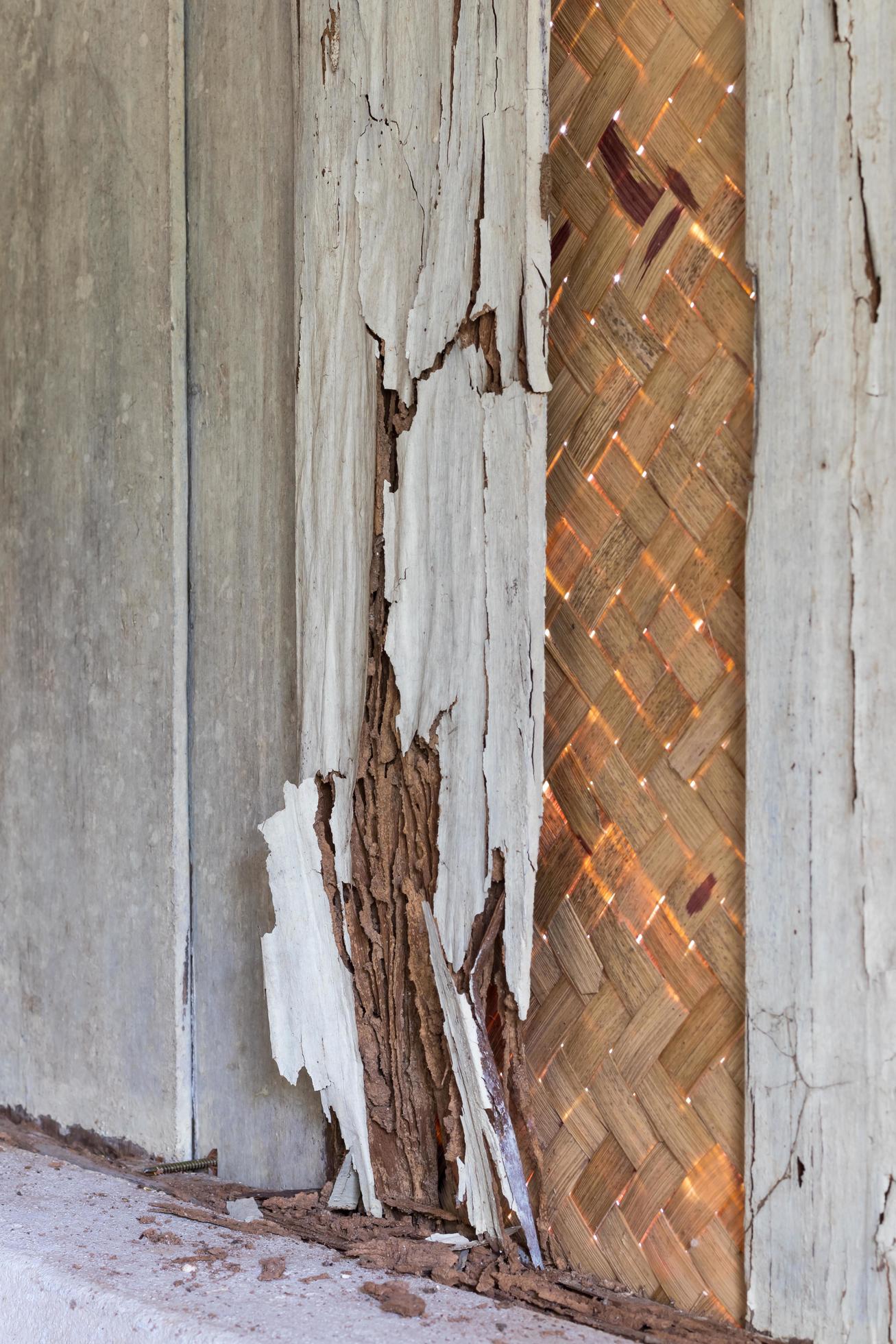 närbild gamla trävägg termiter. foto