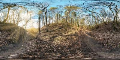 fullständig sömlös sfärisk panorama 360 graders vinkelvy i trädtäckt ravin i skog med solstrålar ekvirektangulär projektion, gångväg i skogen. redo vr ar virtuell verklighet innehåll foto