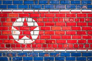 Nordkoreas nationella flagga på en grunge tegel bakgrund. foto