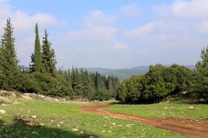landskap i bergen i norra israel foto