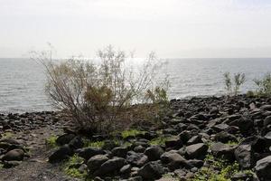 Lake kinneret är en sötvattensjö i nordöstra Israel. foto