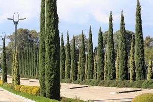 15 januari 2022. bahai trädgårdar i staden Haifa. foto