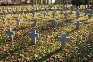 många identiska gråa kors på polsk militärkyrkogård. livets höst och solnedgång. kamp för fosterlandets församling och självständighet foto