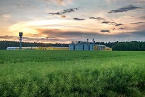 agrobearbetningsanläggning för bearbetning och silos för kemtvätt och lagring av jordbruksprodukter, mjöl, spannmål och spannmål foto