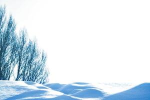 frusen vinterskog med snötäckta träd. foto