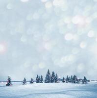 frusen vinterskog med snötäckta träd. foto