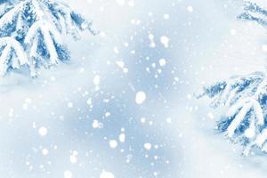 frusen vinterskog med snötäckta träd. utomhus. jul gratulationskort. foto