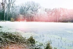 sjö i vinterskogen foto