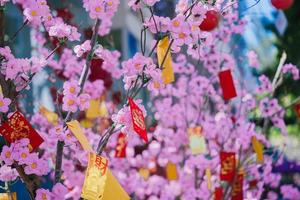 färgglada blommor blommar i liten by innan tet-festivalen, vietnams månår. persikablomma, symbolen för det vietnamesiska månnyåret foto