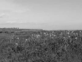 newcastle och tynemouth i england foto