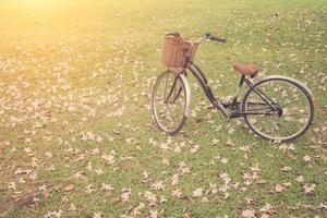 vintage cykel med vintage filter stil foto