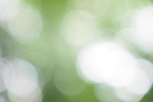 abstrakt bakgrund, oskärpa gröna blad med bokeh foto