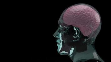 hjärnan inuti kristallhuvudet för utbildning eller sci-innehåll 3d-rendering foto