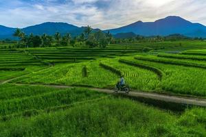 indonesiens natur med berg och risfält på morgonen när bönderna åker till jobbet med motorcykel foto