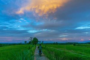 Indonesiens vackra naturliga bakgrund. morgonvy i risfälten och klar himmel foto