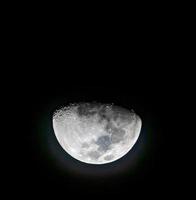 månen efter den första kvarten i 2 dagar och tagen medan månnedgången såg kaninen huvudstupa foto