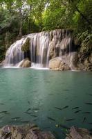 rent grönt smaragdvatten från vattenfallet omgivet av små träd - stora träd, grön färg, fiskar lever i dammen, erawan vattenfall, kanchanaburi provinsen, thailand foto