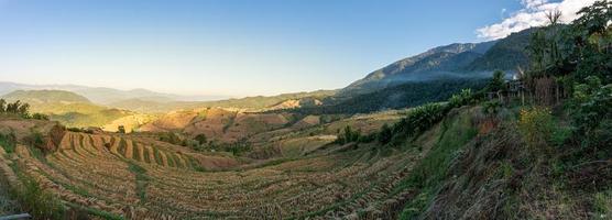 risfält efter skörd, förbud bong piang, chiang mai, thailand foto