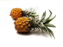 picure av ananas ananas comosus, en frukt som vanligtvis växer i tropiska områden. denna frukt har många vitaminer som är bra för vår kropp foto