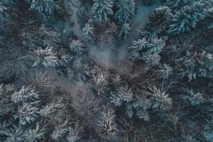 Flygfoto över skogen från flygfoto, fantastisk vinterplats, jultema, vinterbakgrund. foto