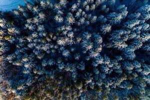 vacker saga vinter snöig morgon skog skott av drönare. foto