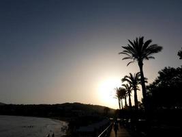 bakgrundsbelysta palmer på den katalanska costa brava foto