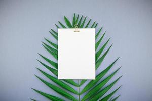 mockup blank vit vykort tropiska palmblad foto