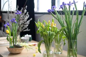 elegant vår, påsk blomsterarrangemang av påskliljor, placerade på bordet i dagsljus hemma. foto