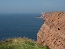 ön helgoland foto