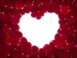 hjärtat av röda rosenblad isolerad på vit bakgrund foto