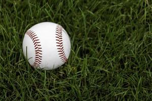 baseboll i gräset foto