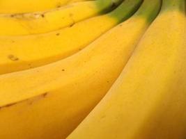 färgsammansättning av mogen banan. tropisk färsk mat. hälsosam och fräsch näring från naturen. från gård till bord foto