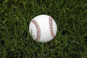baseboll i gräset foto